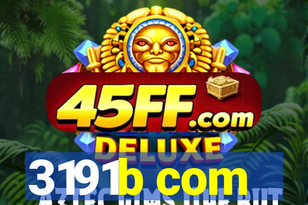 3191b com